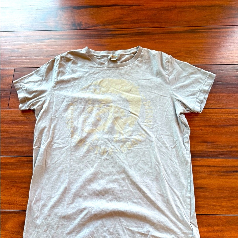 Diesel Men's Gray T-Shirt